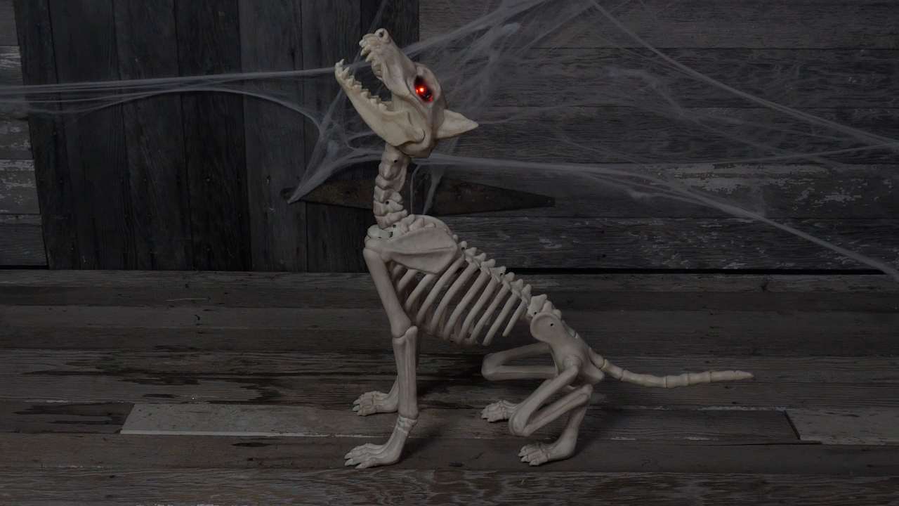 SNW81895 Howling Bonez 27 Animated Dog Skeleton Halloween Prop
